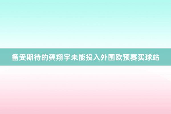 备受期待的龚翔宇未能投入外围欧预赛买球站