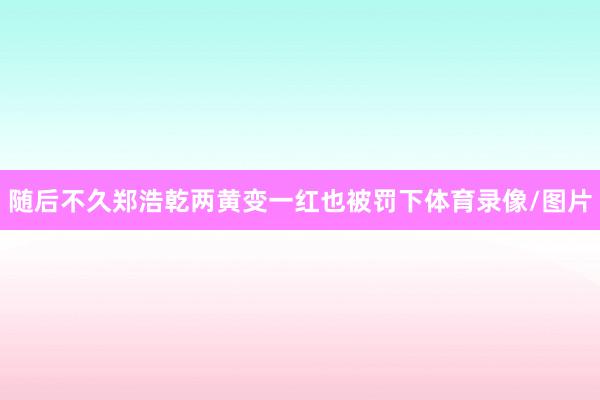 随后不久郑浩乾两黄变一红也被罚下体育录像/图片