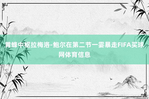 黄蜂中枢拉梅洛-鲍尔在第二节一霎暴走FIFA买球网体育信息