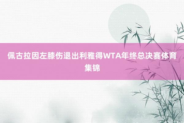 佩古拉因左膝伤退出利雅得WTA年终总决赛体育集锦