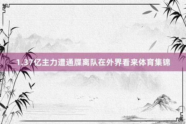 1.37亿主力遭通牒离队在外界看来体育集锦