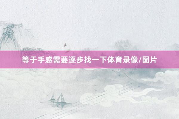 等于手感需要逐步找一下体育录像/图片