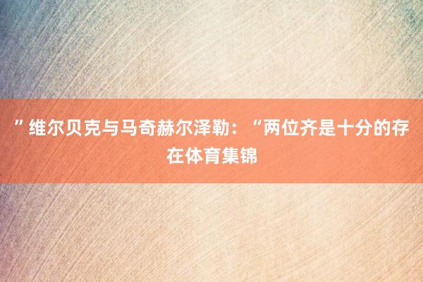 ”维尔贝克与马奇赫尔泽勒：“两位齐是十分的存在体育集锦