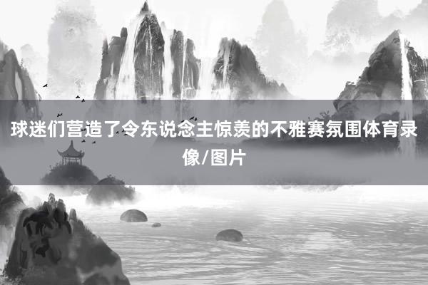 球迷们营造了令东说念主惊羡的不雅赛氛围体育录像/图片