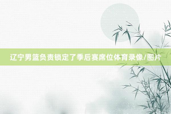 辽宁男篮负责锁定了季后赛席位体育录像/图片