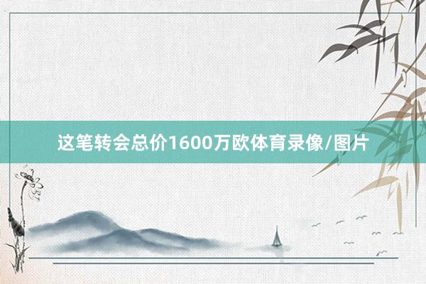 这笔转会总价1600万欧体育录像/图片